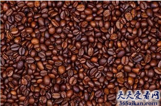 揭秘,世界上最贵的咖啡豆是什么？