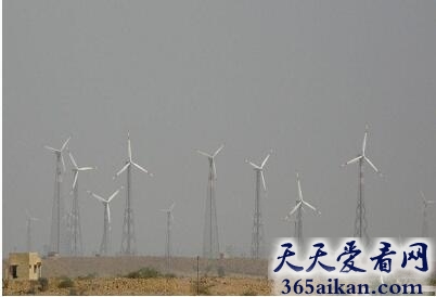 牧羊人平风电场——俄勒冈州 1.jpg