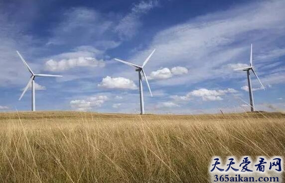 阿尔塔风能中心——加利福尼亚州 1.jpg