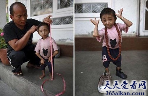 世界上最小的男人有多大？身高不到70CM