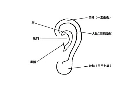 耳朵看相算命图解知识