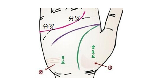 感情线中间分叉好不好？.jpg