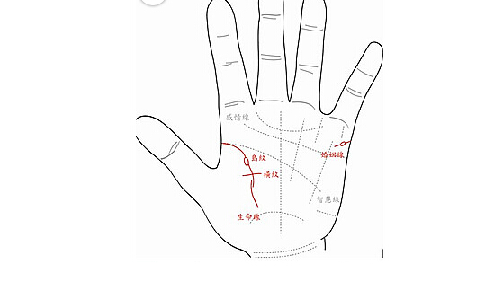 婚姻线岛纹出现在起端好不好？.jpg