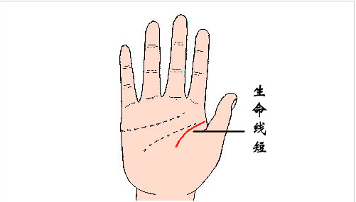 解析手相生命线短到底意昧着什么？.jpg