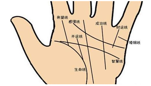 解析：手纹算命图解生命线知识