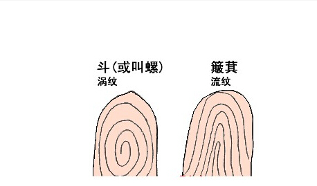 手纹算命十指全是斗会有着怎样的运势呢？