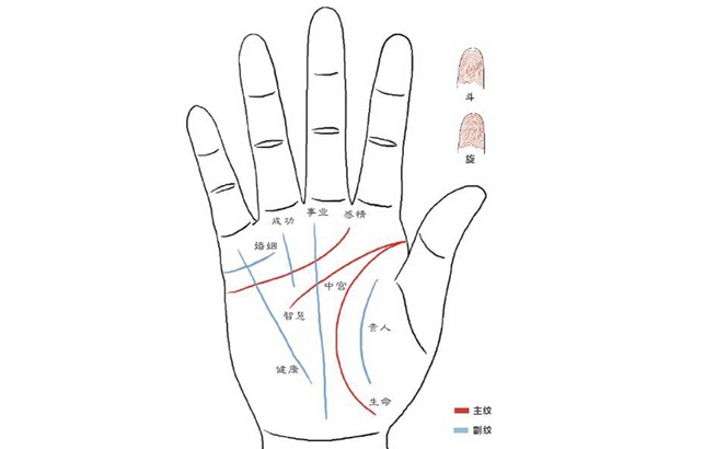 手相学里手纹算命准吗？.jpg