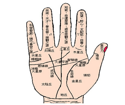 富贵手相算命图解资料