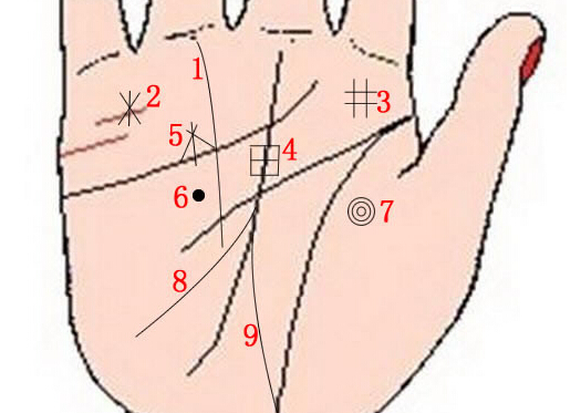 手相算命图解：手纹财运纹是哪一条？.jpg