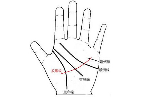 手掌纹算命图解之纵欲线预示着什么？