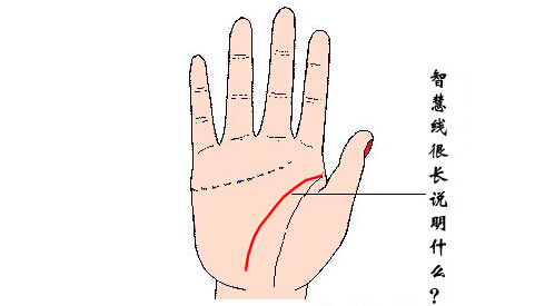 智慧线长预示着什么？智慧线很长好吗？