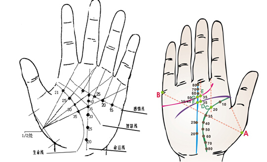 手相智慧线看流年