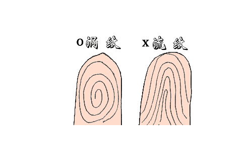 指纹算命9斗好不好？指纹算命九个斗运势怎样？.jpg