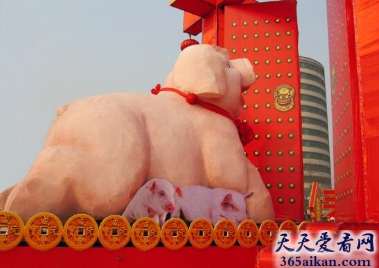 梦见猪拱门代表什么,梦见猪拱门的梦境分析