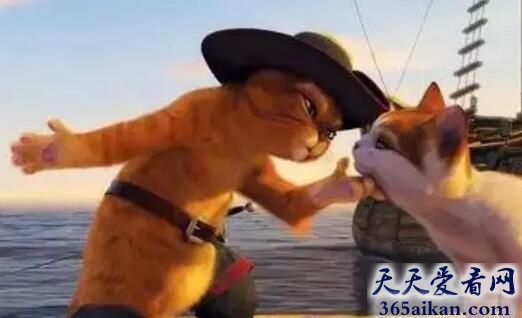 梦见猫抓鱼是什么意思,梦见猫抓鱼代表什么？