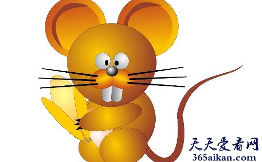 老鼠33.jpg