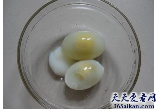 鸽子1.jpg