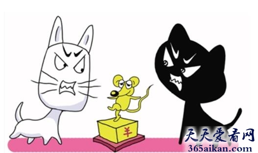 梦见黑猫和白猫代表什么,梦见黑猫和白猫有什么寓意？
