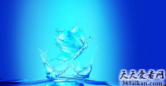 梦见蝴蝶在水里是什么兆头,梦见蝴蝶在水里代表什么？