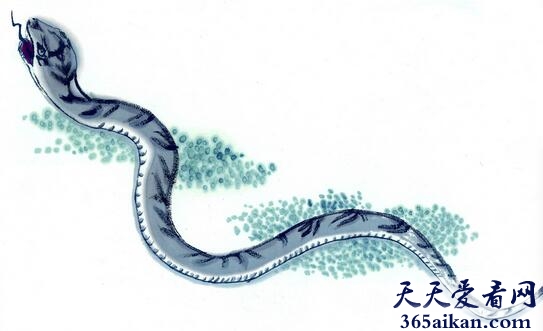蛇6.jpg