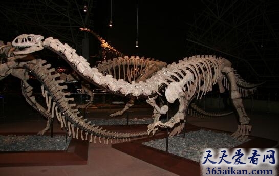 梦见恐龙化石好不好,梦见恐龙化石是怎么回事？