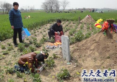 梦见上坟磕头.jpg