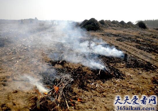 孕妇梦见坟地着火.jpg