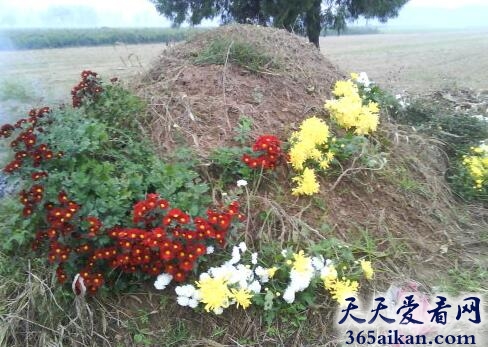 梦见坟头开花是什么意思？