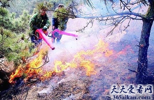 梦见坟头着火.jpg