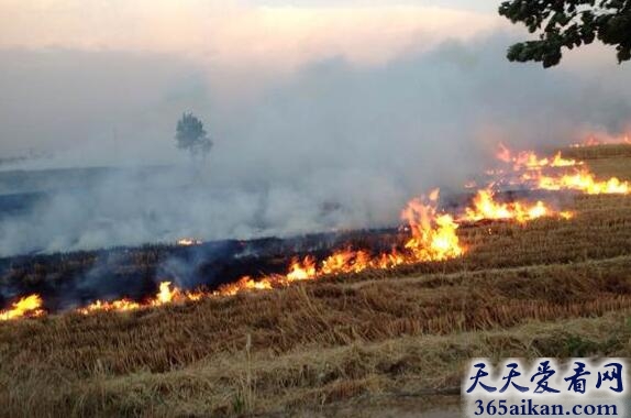 梦见坟墓着火.jpg