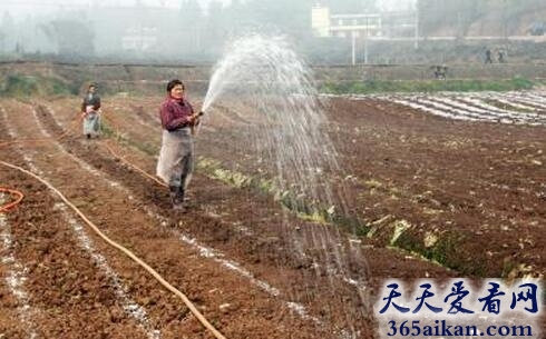 梦见浇地是什么意思?梦见浇地的寓意