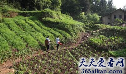梦见走山路预示着什么?梦见走山路有什么含义?