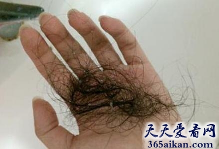 梦见掉头发是什么意思?梦见掉头发代表什么?