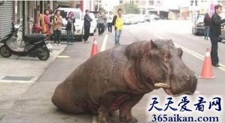 梦见跌落是什么意思?梦见跌落预示着什么?