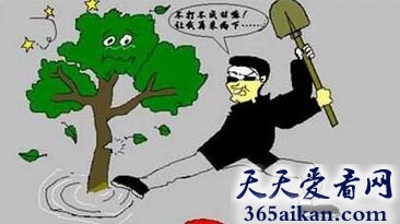 梦见砍树是什么意思?梦见砍树有什么寓意?