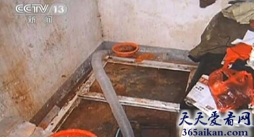 梦见挖地窖预示着什么?梦见挖地窖是怎么回事?