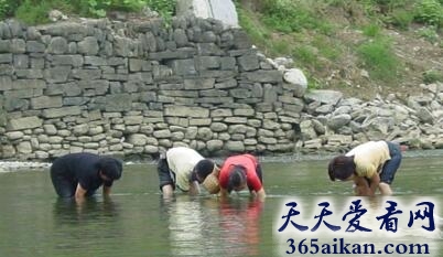 梦见自己在河里抓鱼意味着什么?梦见自己在河里抓鱼预示着什么?