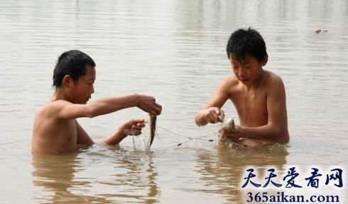 梦见摸鱼预示着什么?梦见摸鱼是什么征兆?
