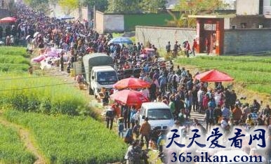梦见赶集预示着什么?梦见赶集有什么寓意?