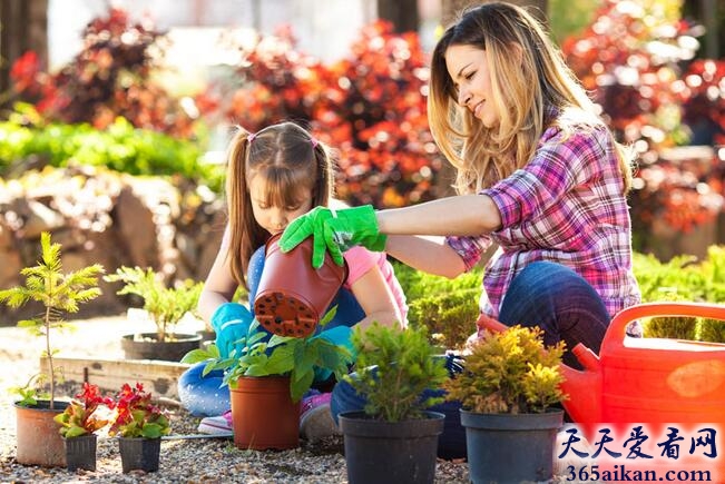 梦见种花暗示着什么?梦见种花是什么意思?