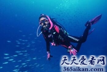 梦见潜水预示着什么?梦见潜水有什么寓意?