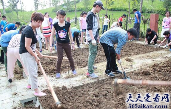 梦见使用铁锹掘土说明什么?梦见使用铁锹掘土是怎么回事?
