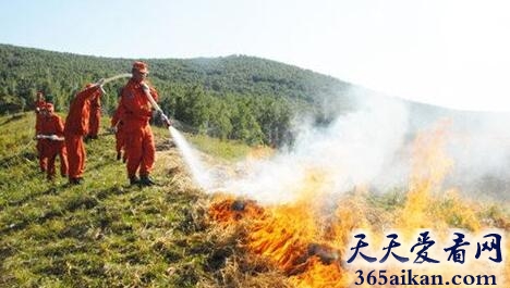 梦见用水浇火意味着什么?梦见用水浇火是什么征兆?