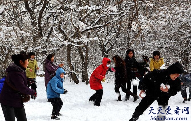 梦见打雪仗是什么意思?梦见打雪仗好不好?