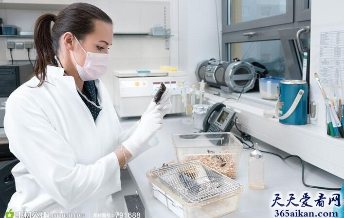 梦见研究好不好?梦见研究意味着什么?
