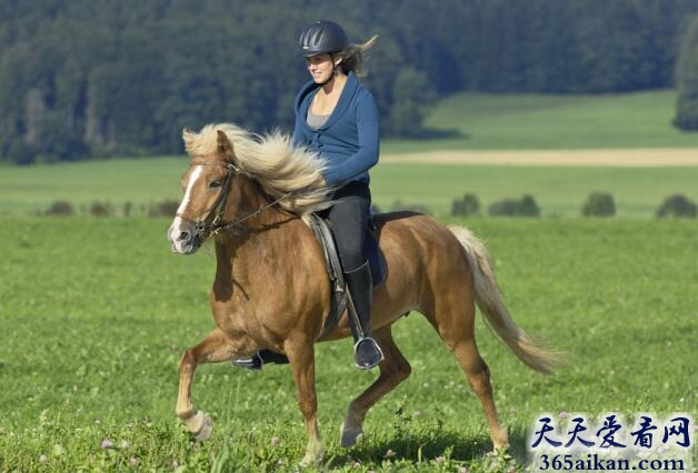 女人骑马