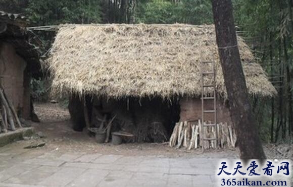草屋1.jpg
