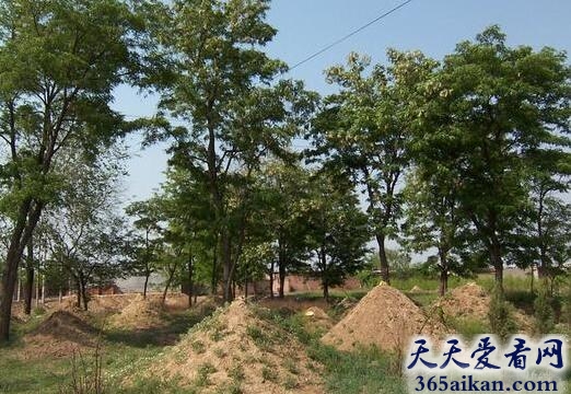 坟墓8.jpg