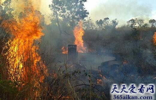 梦见祖坟着火好不好？梦见祖坟着火有什么含义？