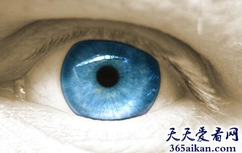 梦见眼珠.jpg
